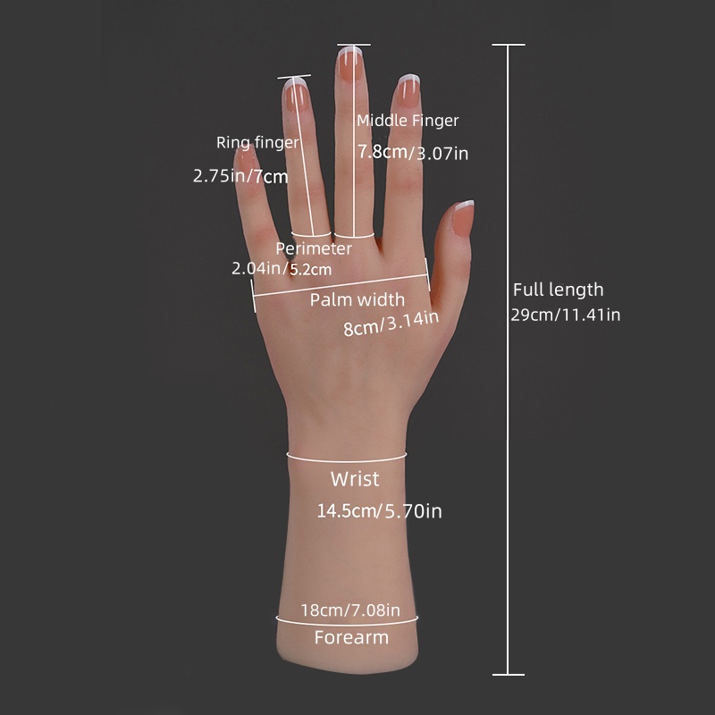 Replika Tangan Wanita dari Sil - Art Craft Display ulasan dan harga